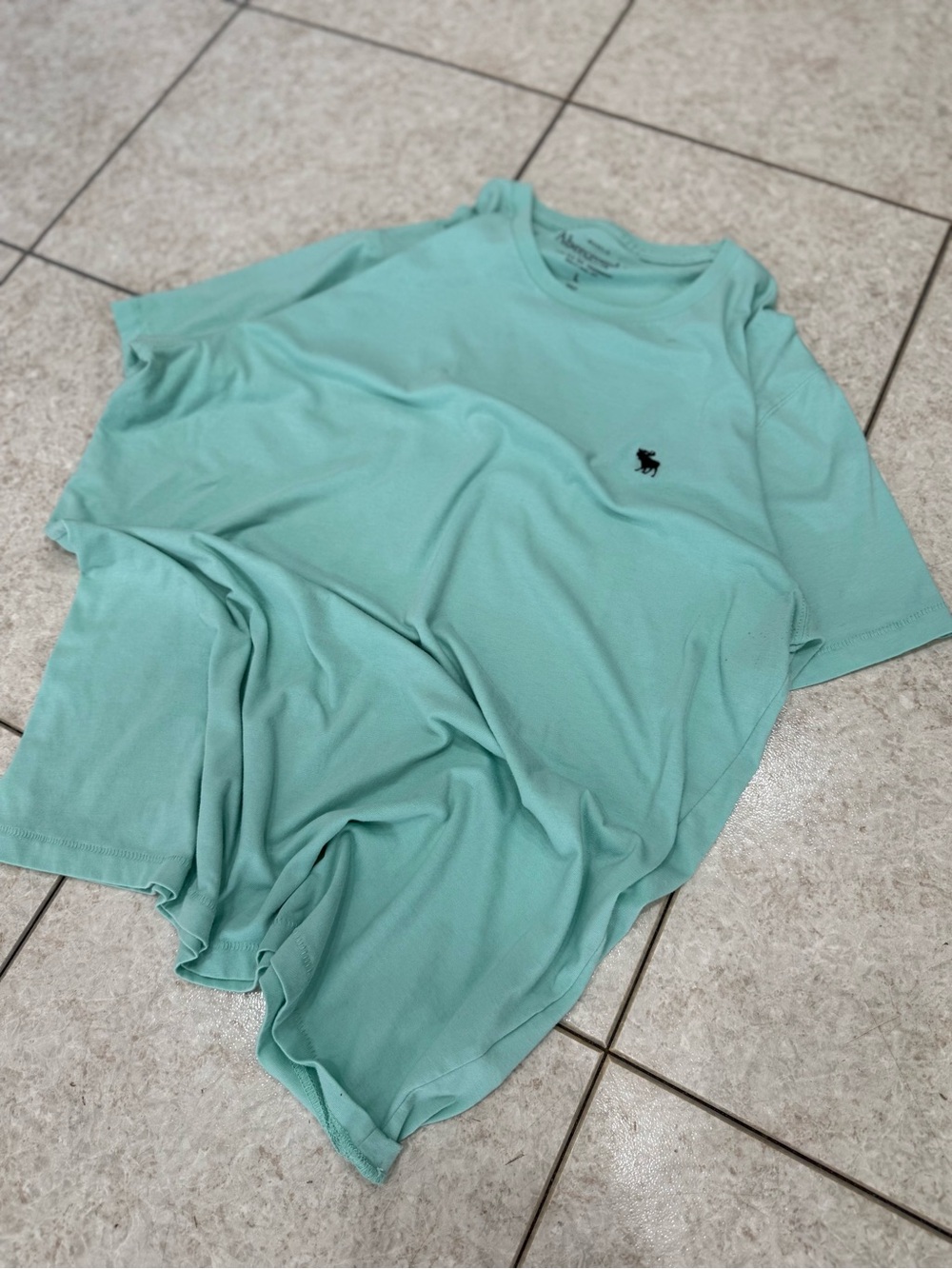 Abercrombie & Fitch Men’s muscle Mint Crew Neck T-Shirt